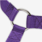 Close-up of a purple Yogi-Pets dog collar with a metal D-ring on a white background