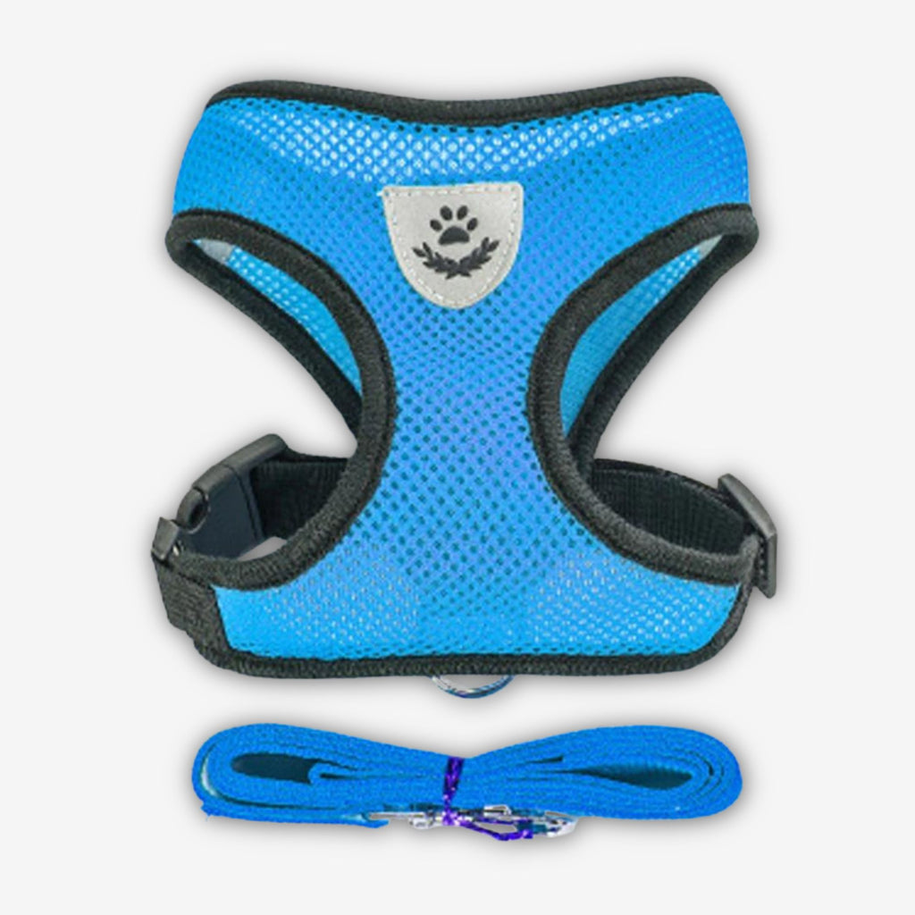 Yogi-Pets Breathable Mesh Dog Vest Harness with Matching Leash - Escape-Proof & Reflective - Blue