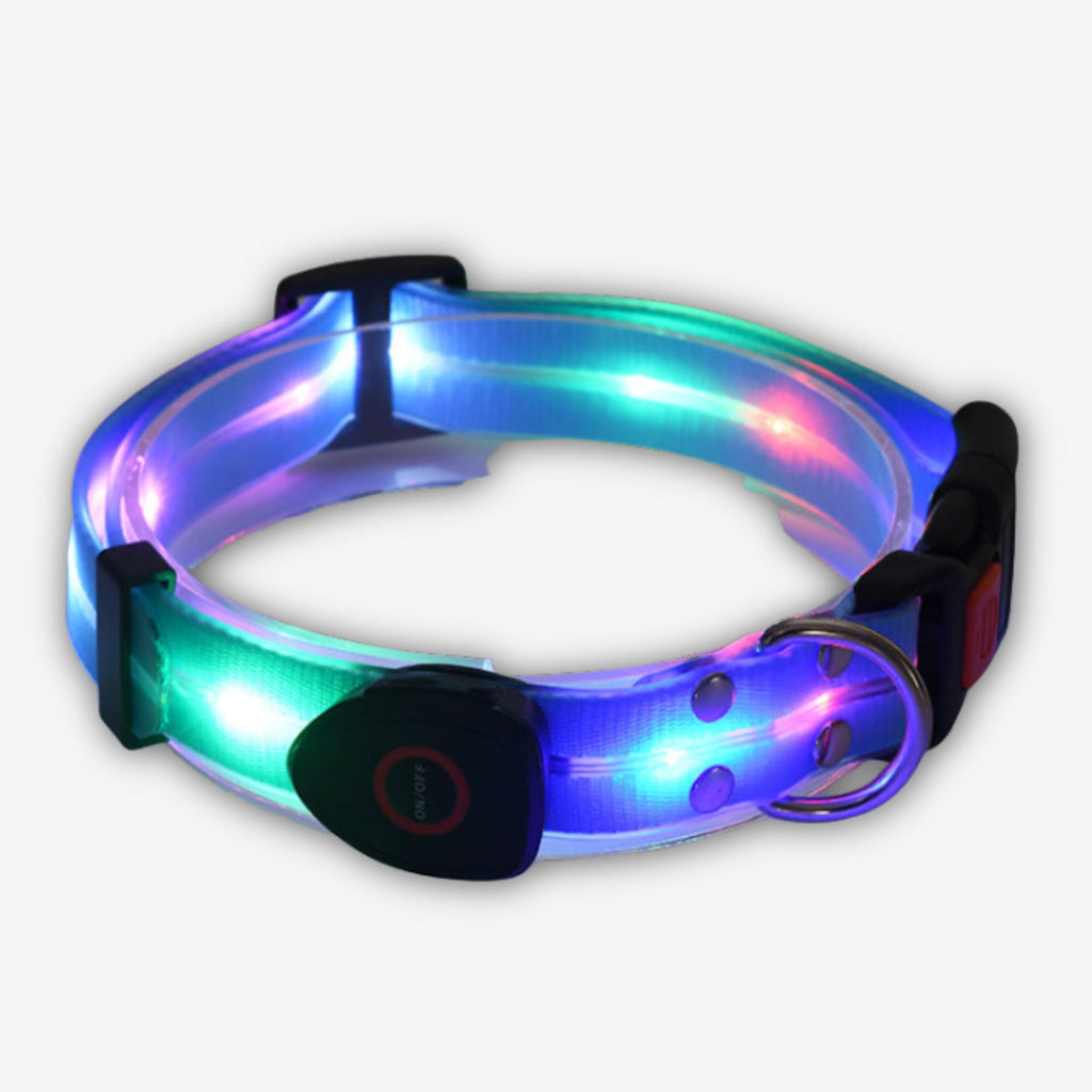 Yogi-Pets Glow-in-the-Dark LED Safety Dog Collar - USB Rechargeable Night Visibility Light - Blue