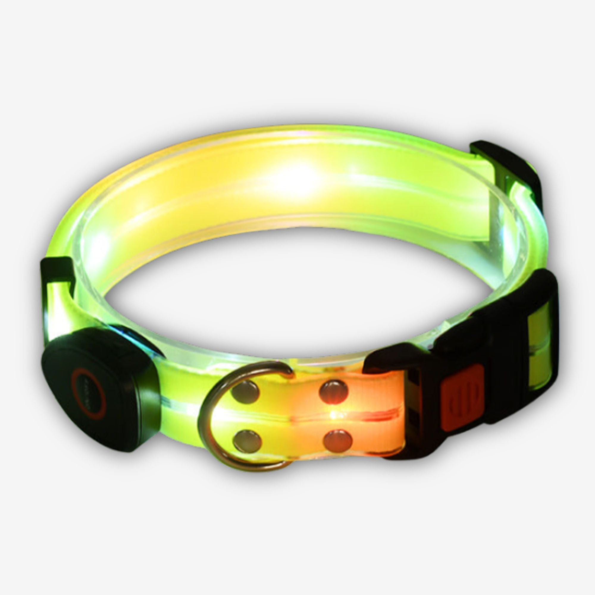Yogi-Pets Glow-in-the-Dark LED Safety Dog Collar - USB Rechargeable Night Visibility Light - Green