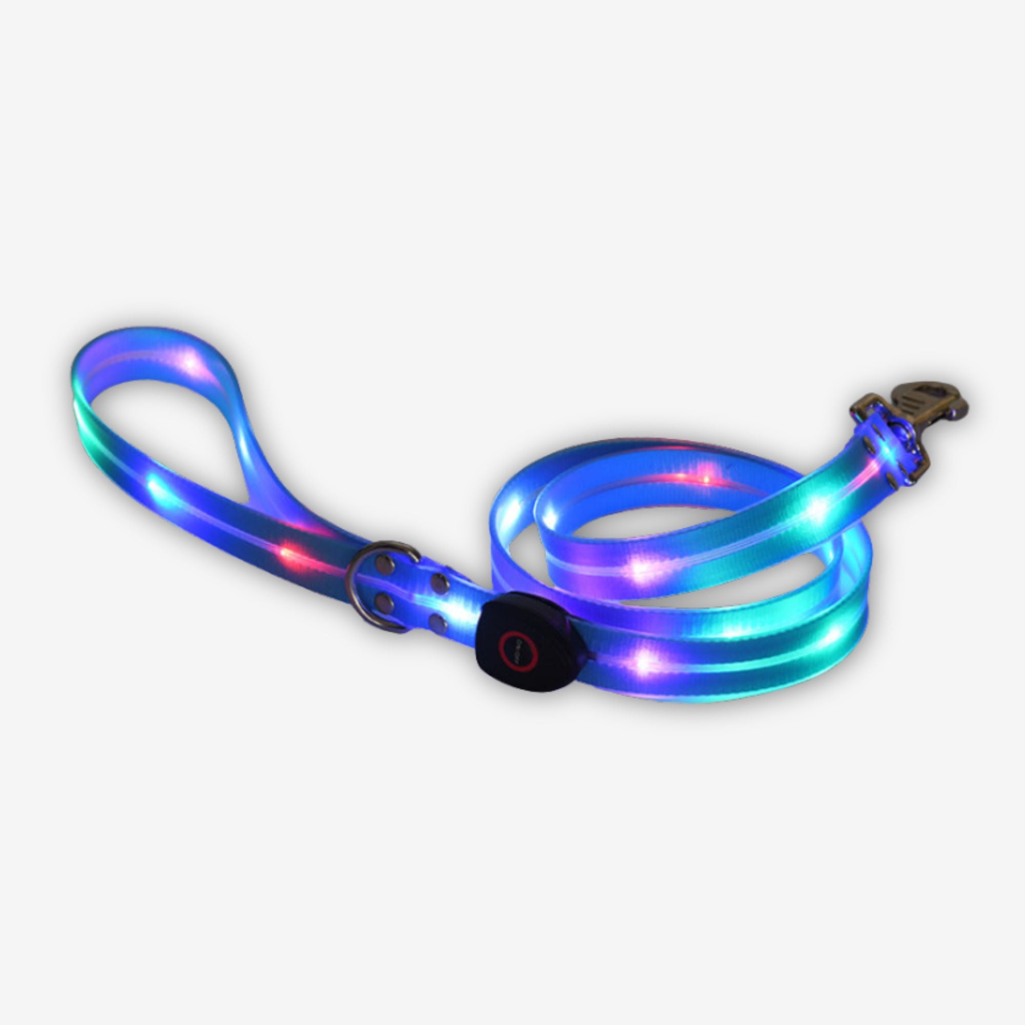 Yogi-Pets Coordinating LED light-up dog leash  for 360-degree night visibility - Blue