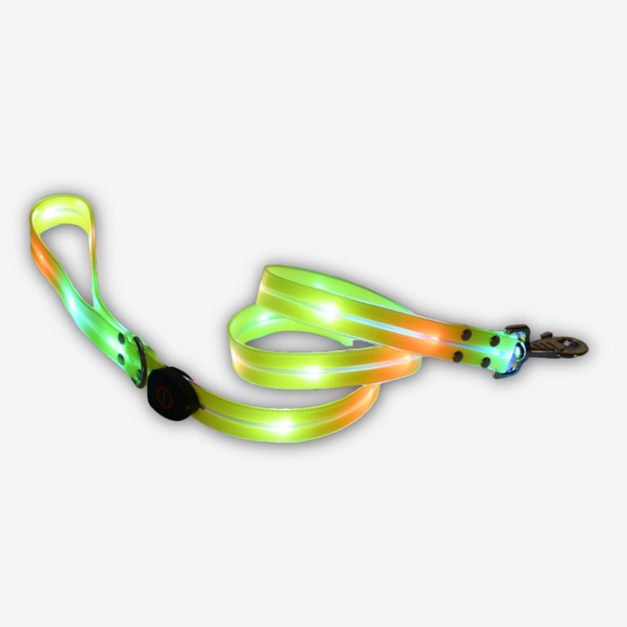 Yogi-Pets Coordinating LED light-up dog leash  for 360-degree night visibility - Green