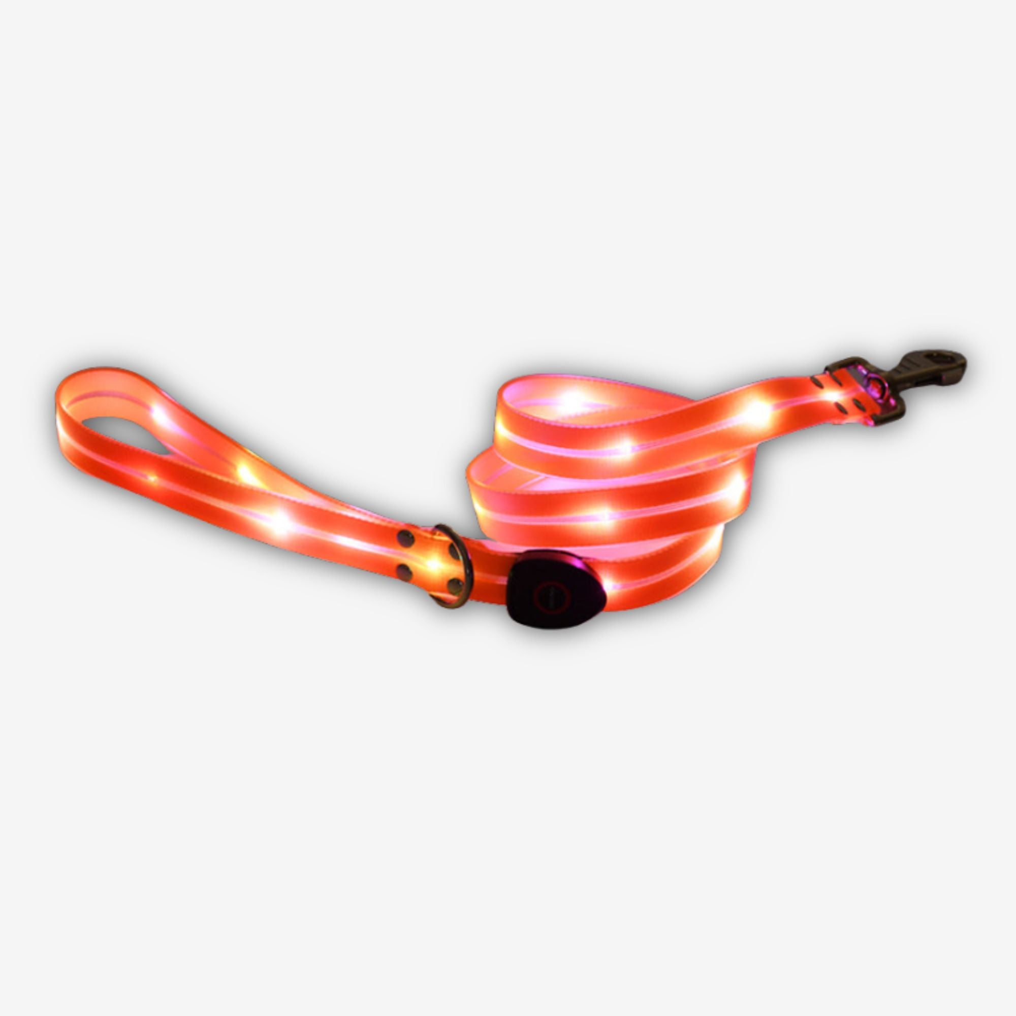 Yogi-Pets LED light-up dog leash  for 360-degree night visibility - Orange
