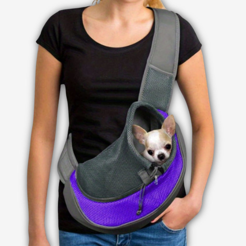 Yogi-Pets carrier with a dog inside with woman
