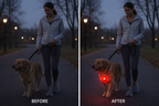 Improved visibility comparison showing a dog with and without the Yogi-Pets LED safety pendant