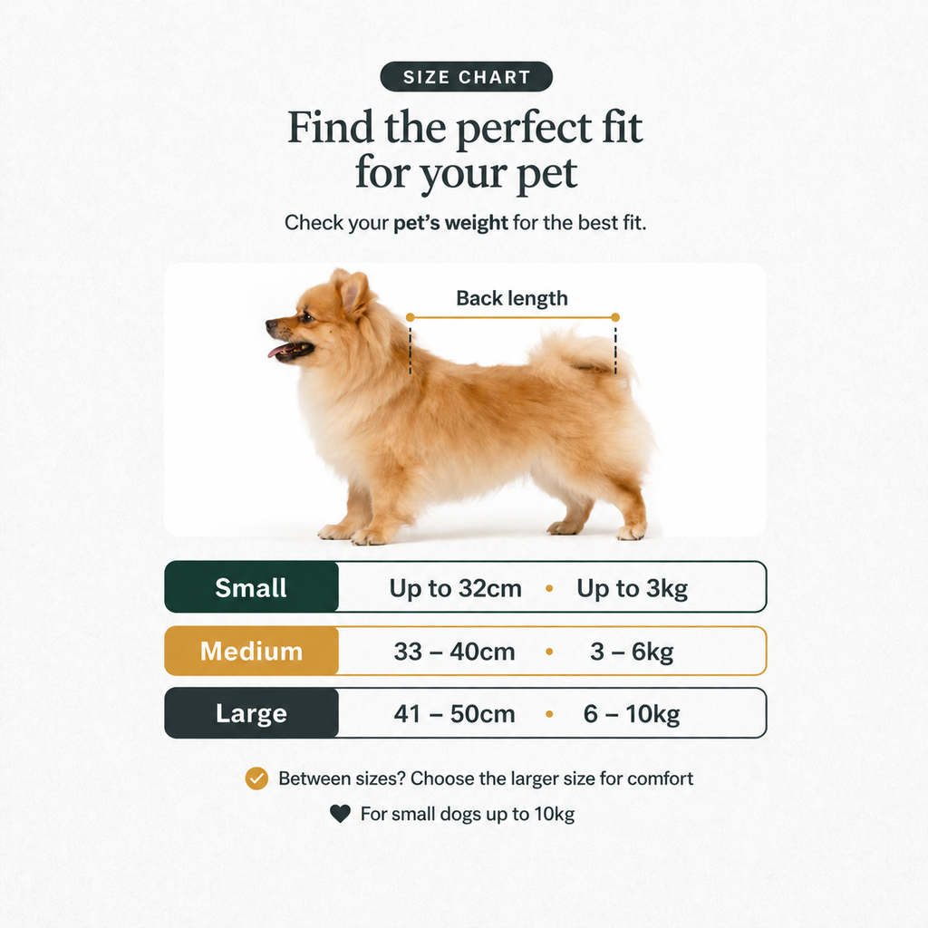 Dog size chart for pet clothing with measurements and weight ranges.