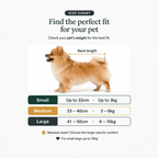 Dog size chart for pet clothing with measurements and weight ranges.
