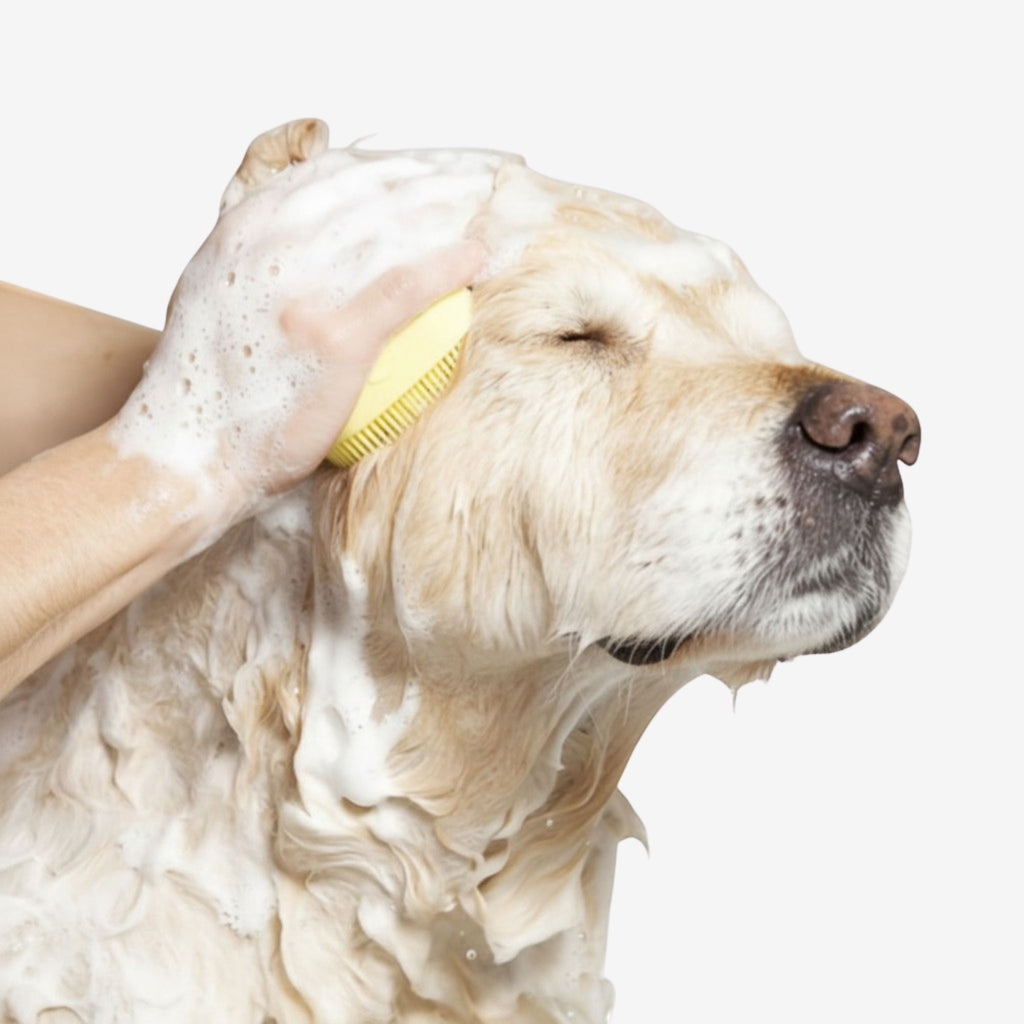 Gentle silicone bristles of the Yogi-Pets massage brush cleaning a dog's fur