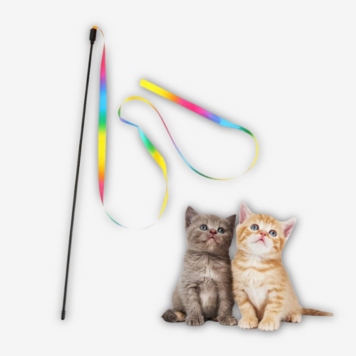 Two kittens playing with the Yogi-Pets™ colourful fabric teaser wand