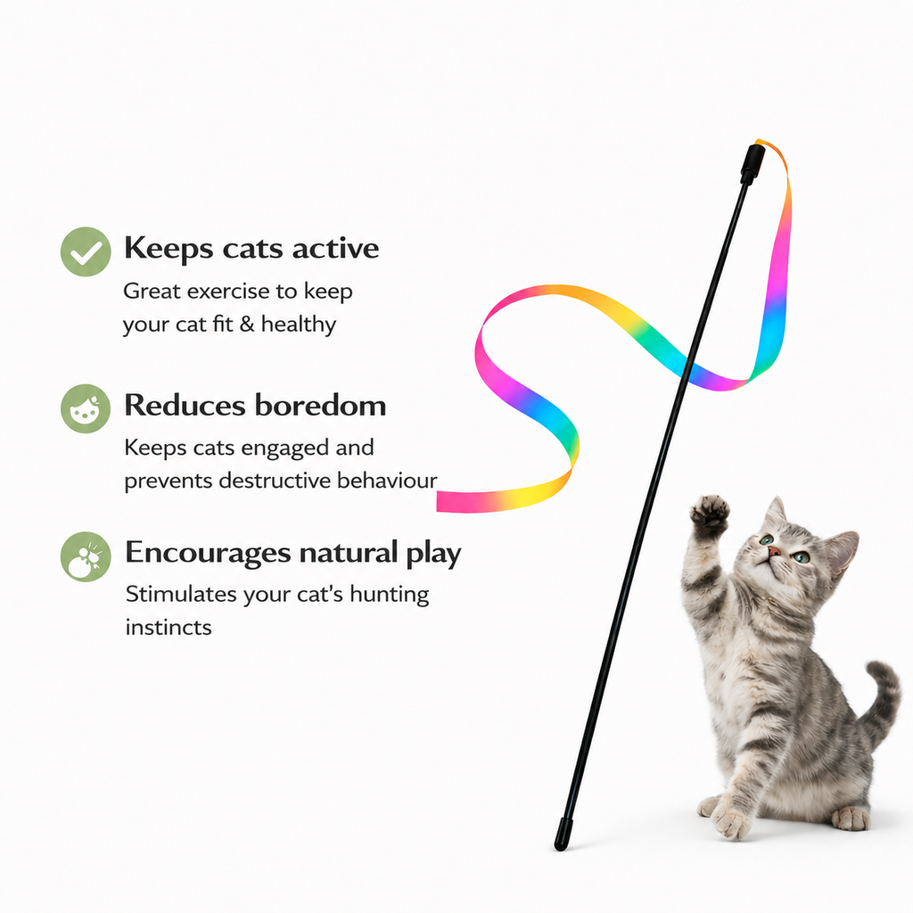 Yogi-Pets Cat toy with colorful trail and cat reaching for it on a white background
